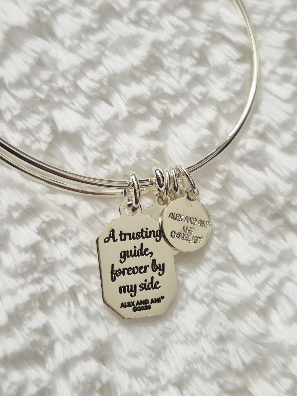 Alex and Ani Silver 'Aunt' Charm Bangle - Picture 4 of 6